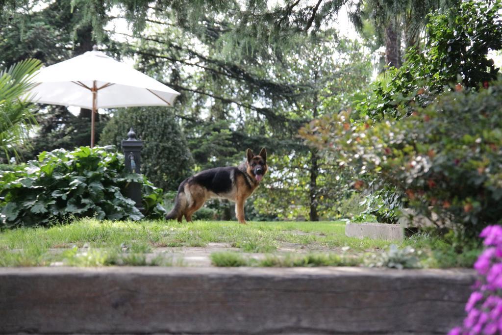 B&B Casa Carla Pinerolo Luaran gambar